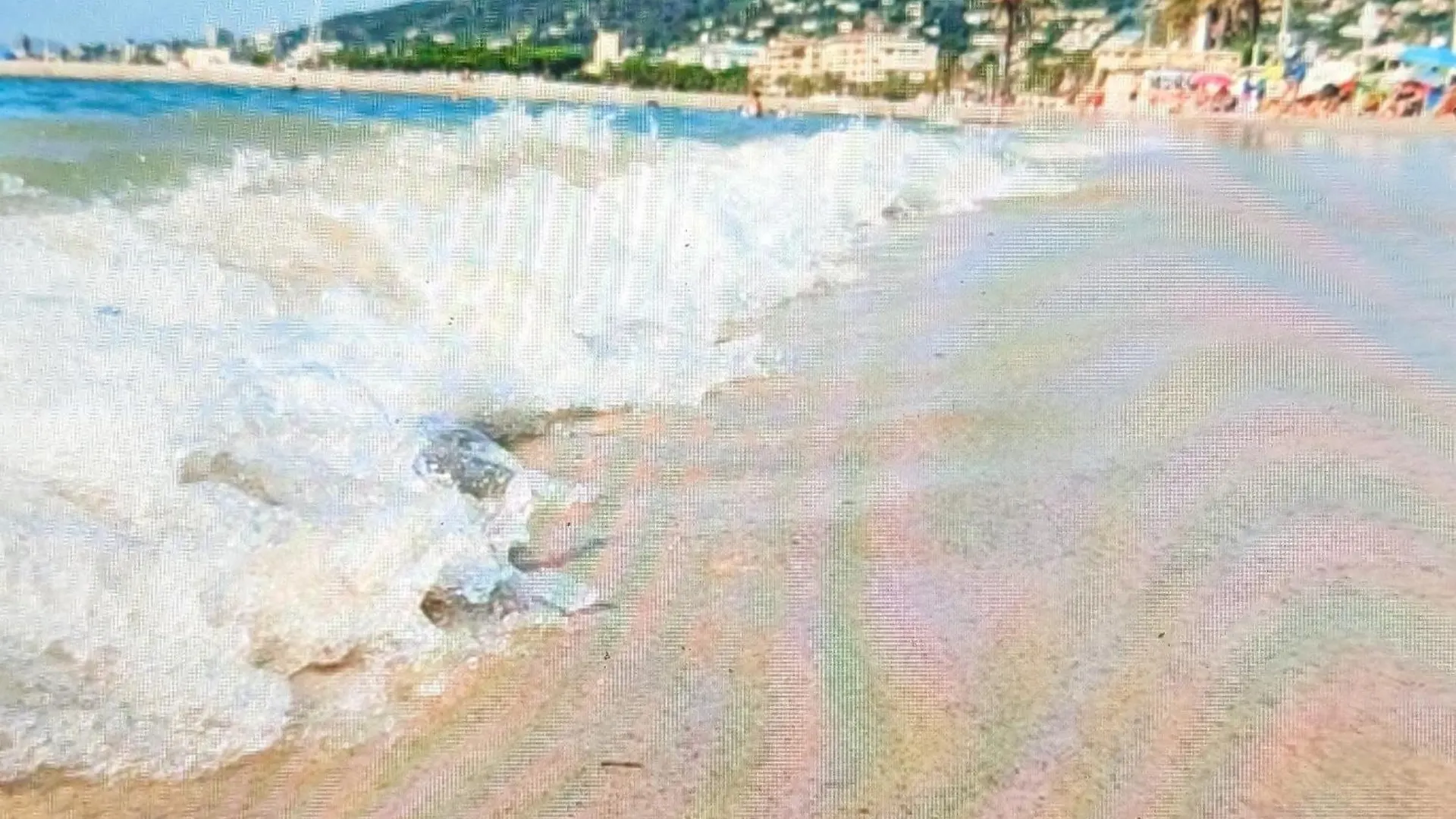 Residence De Vacances Avec Piscine & Transat, A 2 Minutes Des Plages - Bat N2 Vallauris France